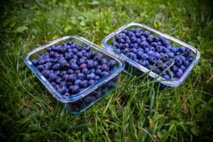 Schüssel mit Blaubeeren